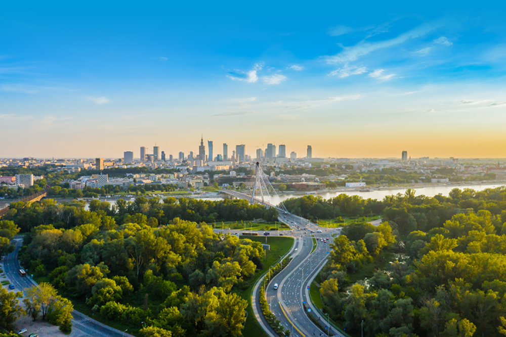 operator skynet kike