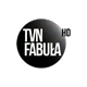 TVN Fabuła